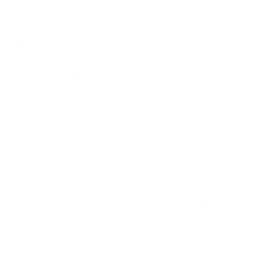 spc--icon_interface_wht.png
