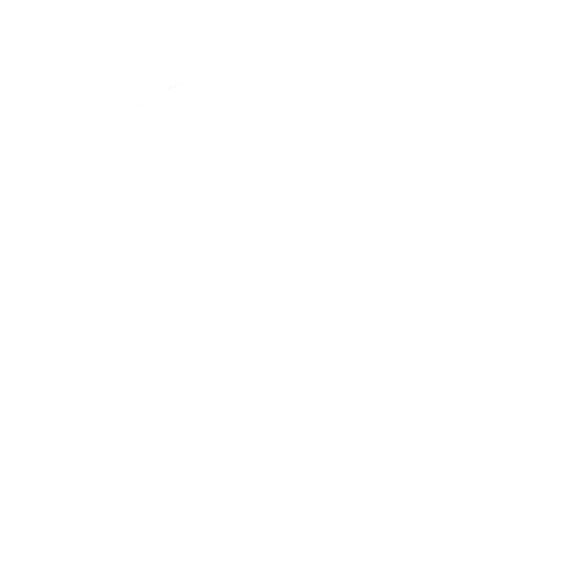 spc--icon_solution_wht.png